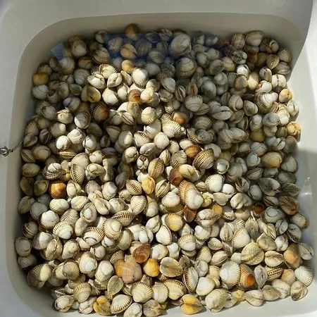 Belle La Galinoche Holiday home *