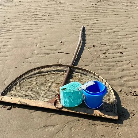 Belle La Galinoche *