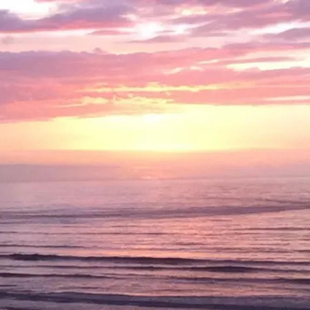 Belle La Galinoche * Le Home Varaville