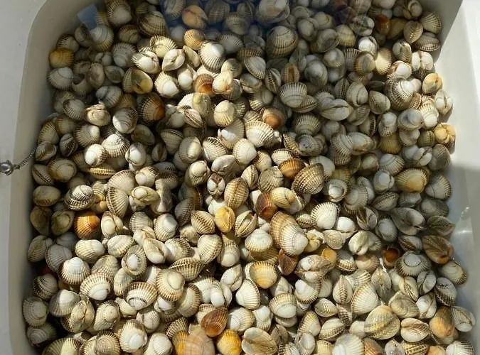 Belle La Galinoche Holiday home *