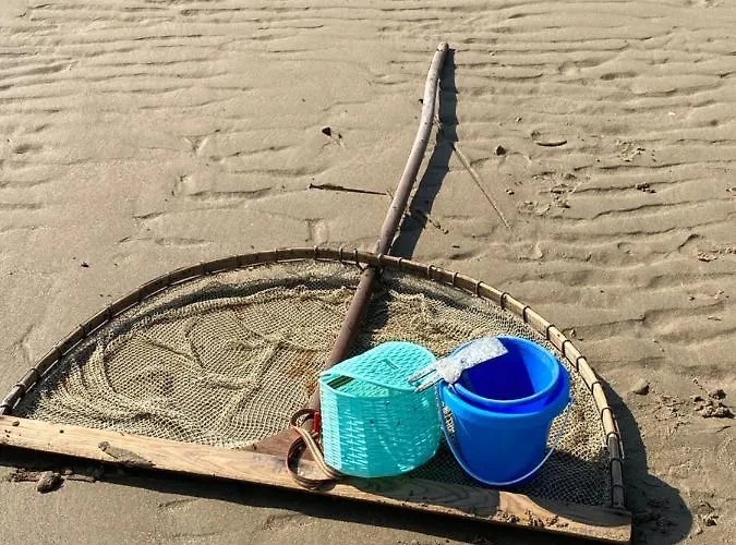 Belle La Galinoche *