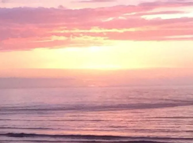 Belle La Galinoche * Le Home Varaville