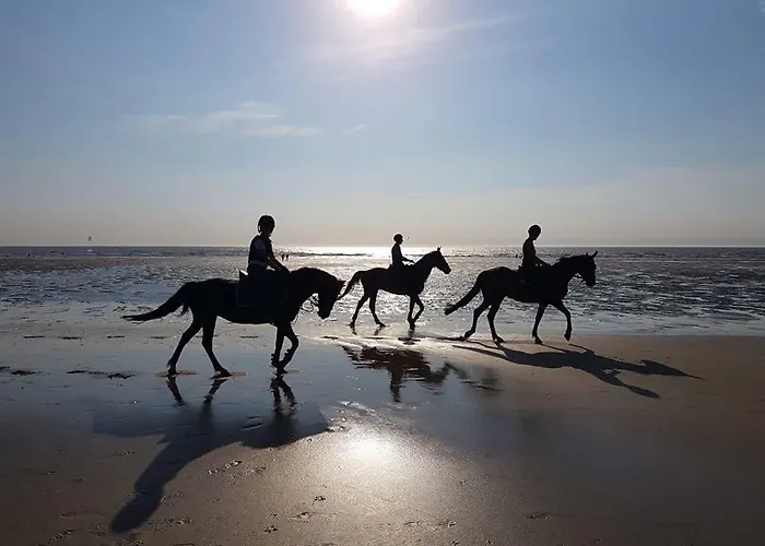 Holiday home Belle La Galinoche *